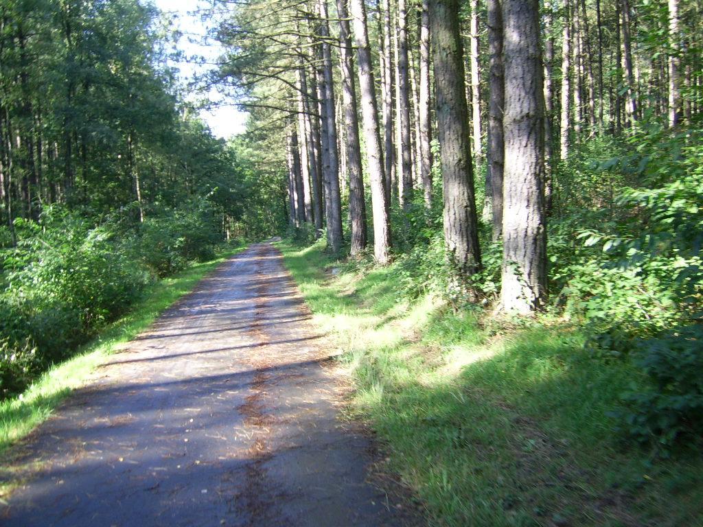 Bosbeekvallei Opoeteren Exterior foto